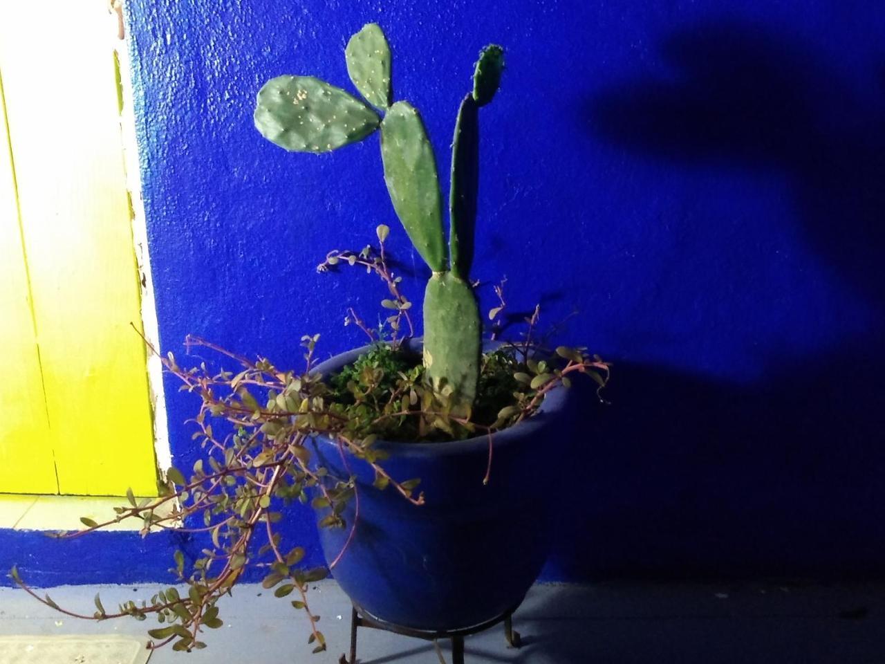 Lola Atlachinolli Саюлита Экстерьер фото